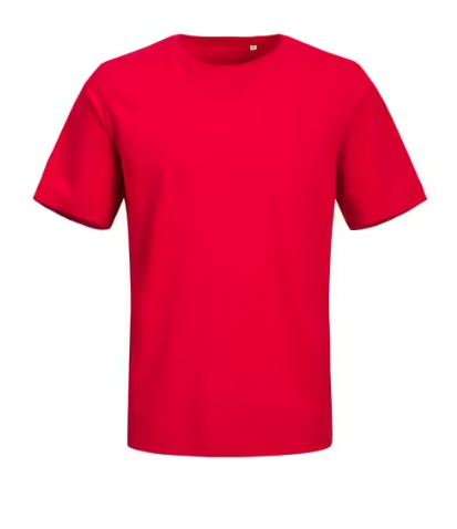 Red Unisex Organic Cotton T-Shirt X-Large