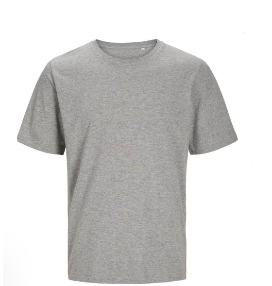 Organic T-Shirt Large Grey