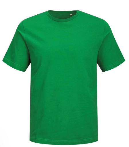 Organic T-Shirt Small Green