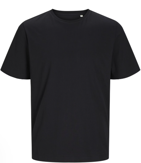 Organic T-Shirt Large Black